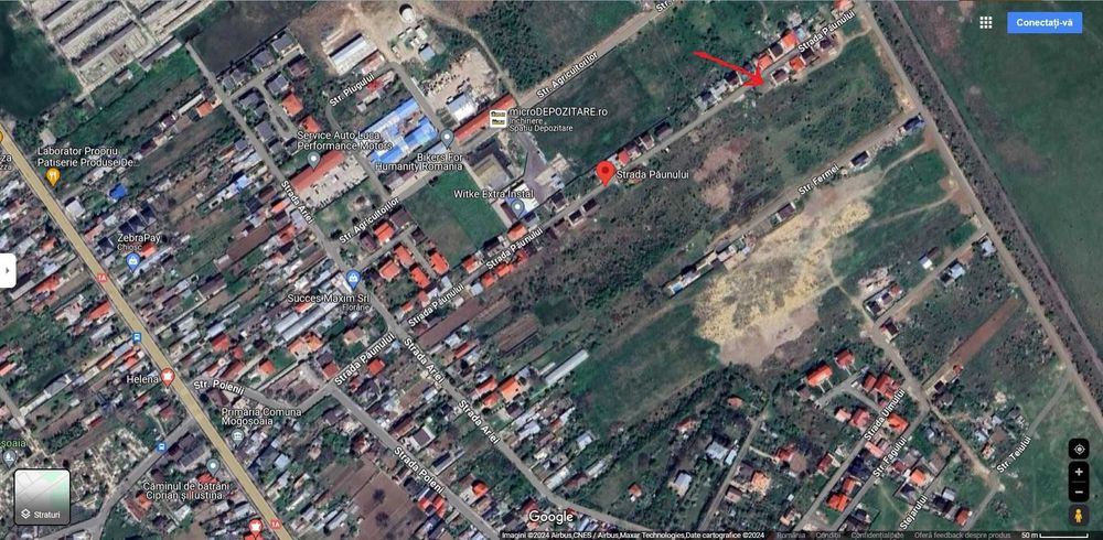 Teren Mogosoaia, Ilfov - 301.46 mp, intravilan, utilitati, ingradit