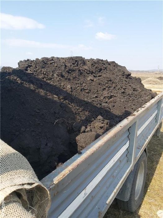 Pământ negru, amenajare teren, gradina, gazon, alei, pavaj, săpătură
