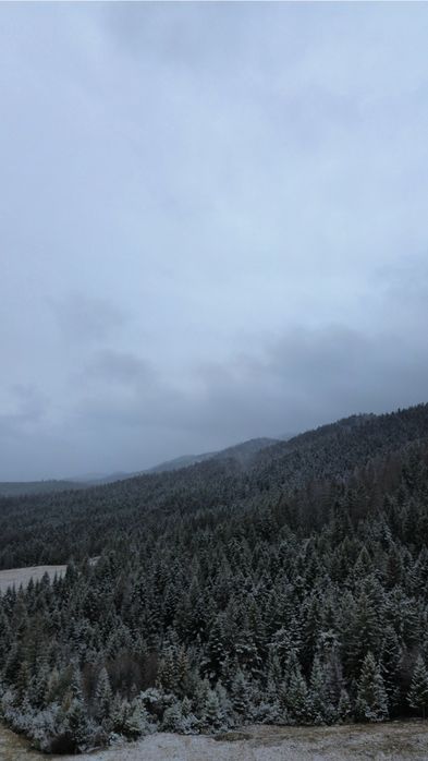 Teren intravilan de vanzare !!!