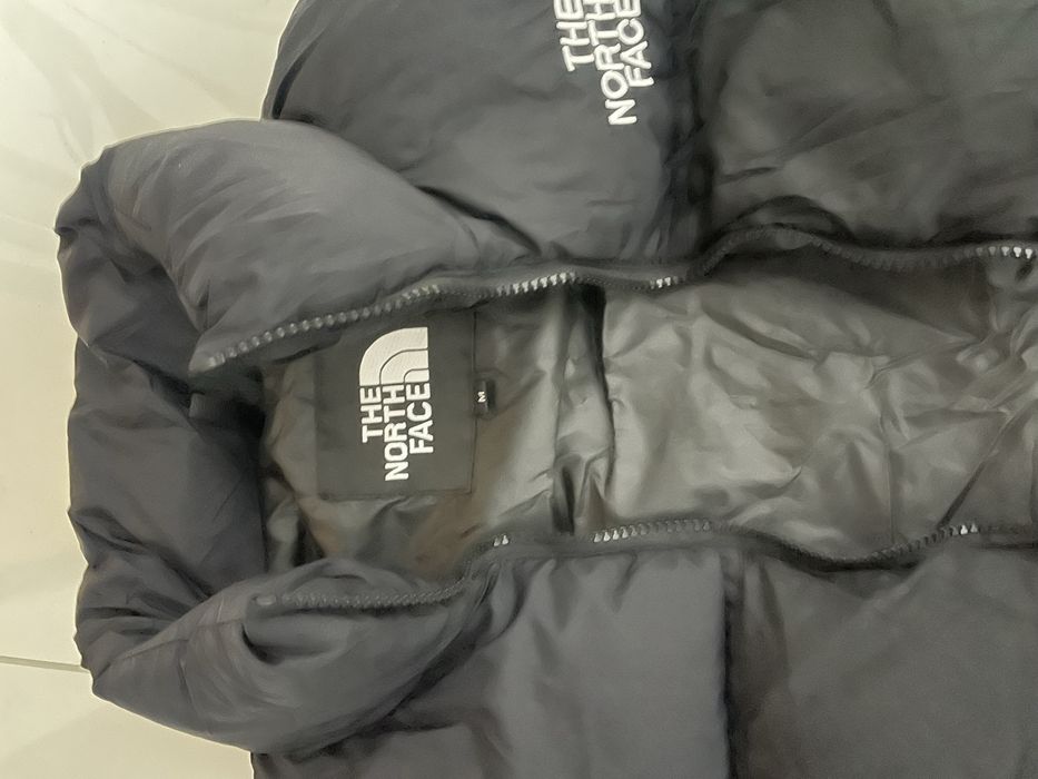 Vesta the north face