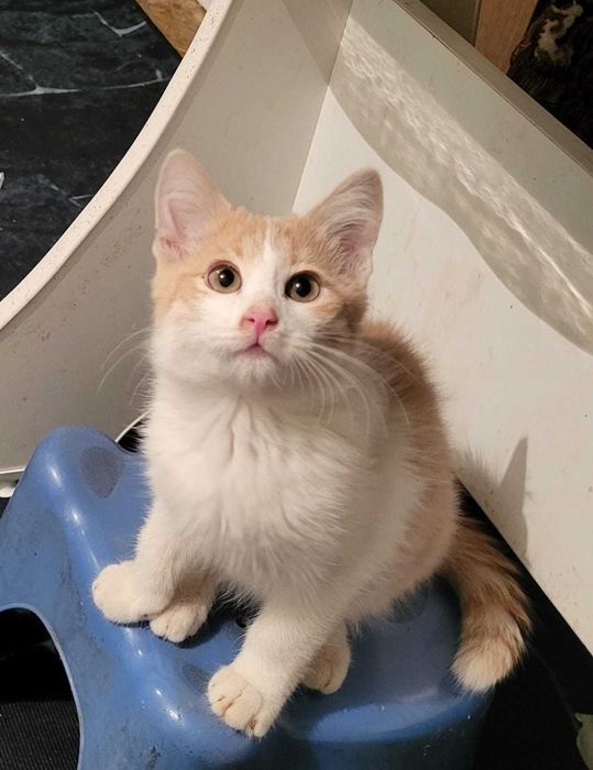 В самые ответственные руки