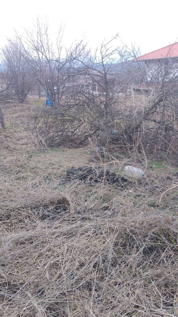 Продава се Парцел в с. Леденик, Област Велико Търново - 720 кв.м за 59 €/кв.м - Снимка #2
