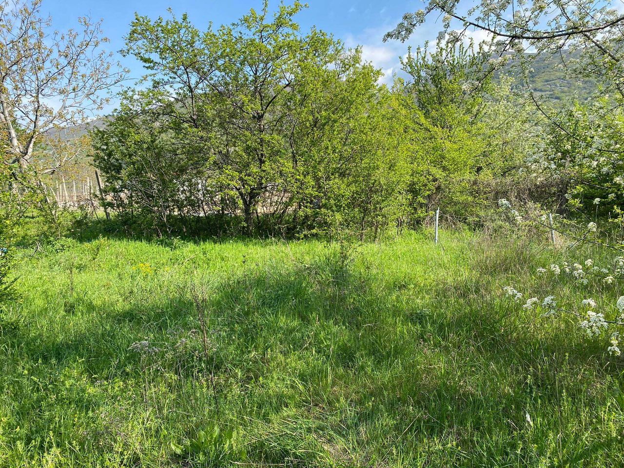 Продава се Парцел в Сопот - 1800 кв.м за 17 €/кв.м - Снимка #3