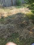 Vind fin cosit si uscat in BASCOV ARGES