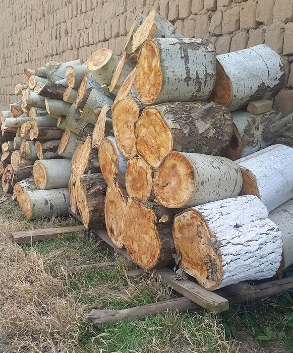 Ўтин сотилади. Кўк терак.