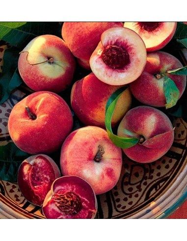 Pomi fructiferi gama deosebiți [ rari ] soiuri de piersic