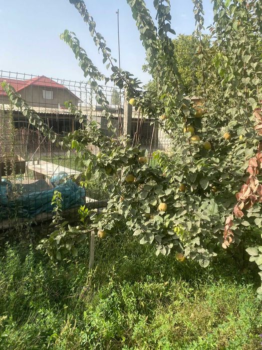 Продам капитальный дом с пристройкой