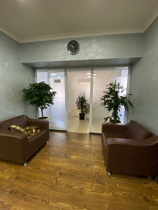 Offis va ishxonalar uchun gullar