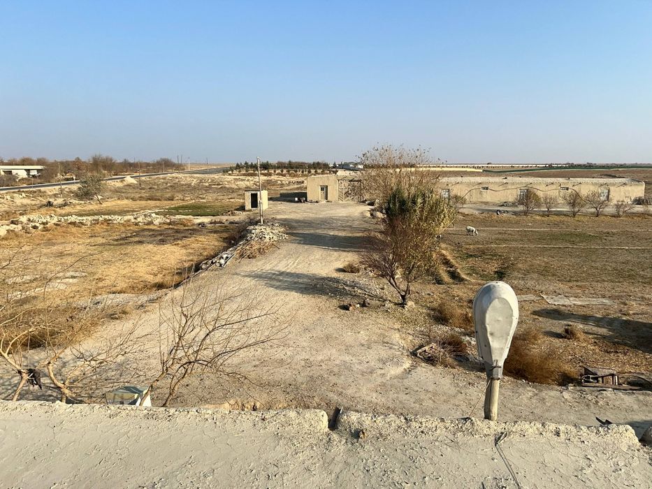 Уй сотиладииииии