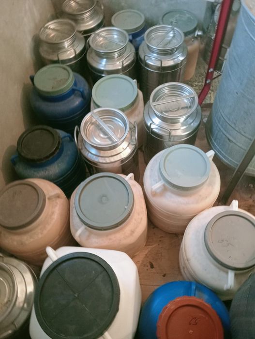 Miere polifloră direct de la producător