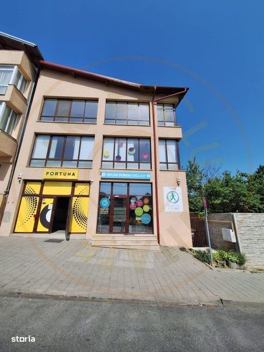 Spatiu Stradal Cu Vad Format - Razboieni