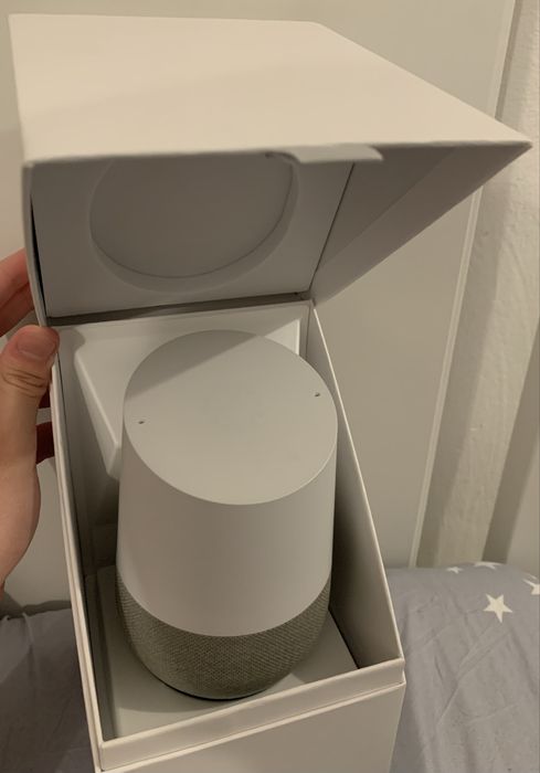 Google Home si Google Nest Mini 2