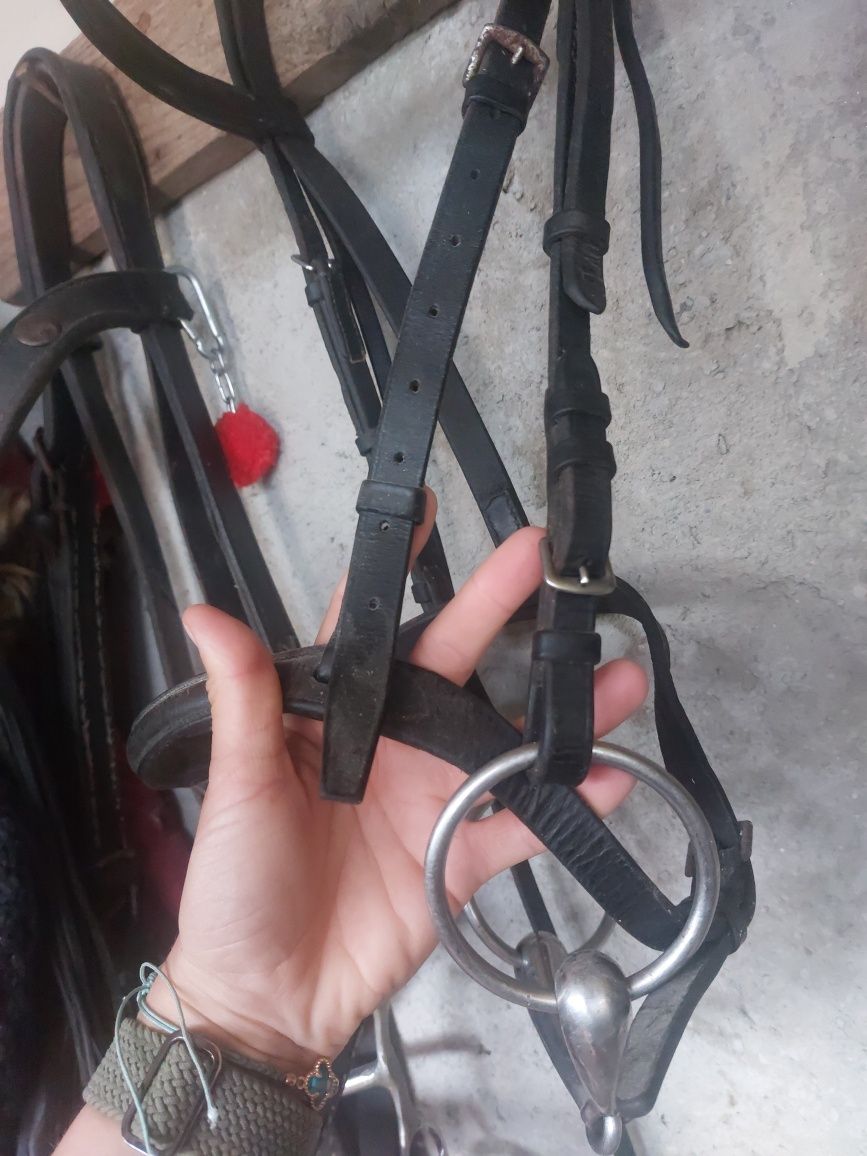 Capastru calarie cu zabala