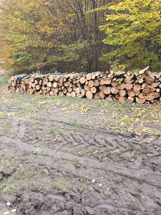 Lemne de foc de vanzare