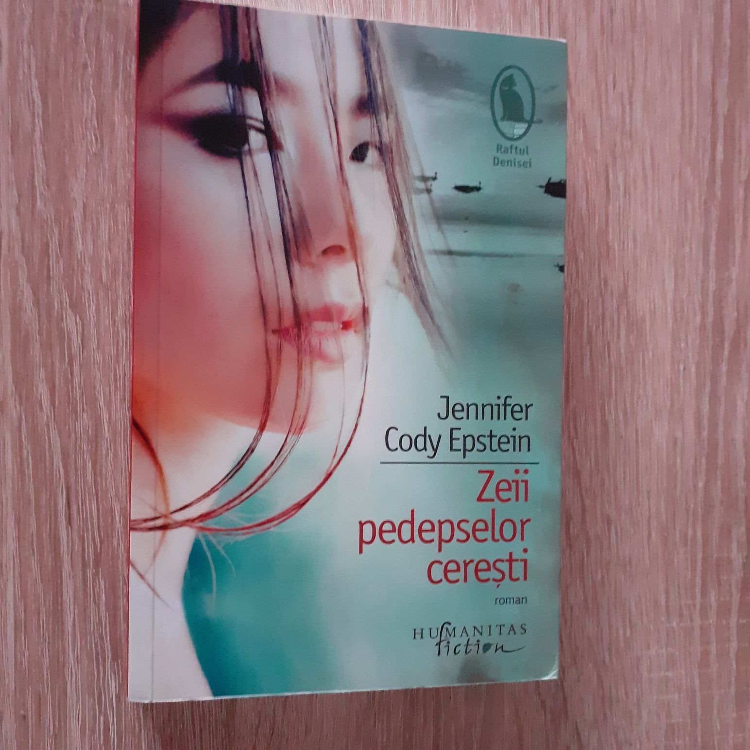 Zeii pedepselor ceresti - Jennifer Cody Epstein