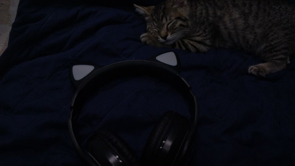 Наушники с кошачьими ушками