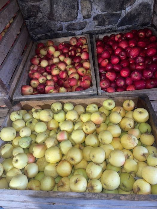 Mere de vanzare diverse sortimente