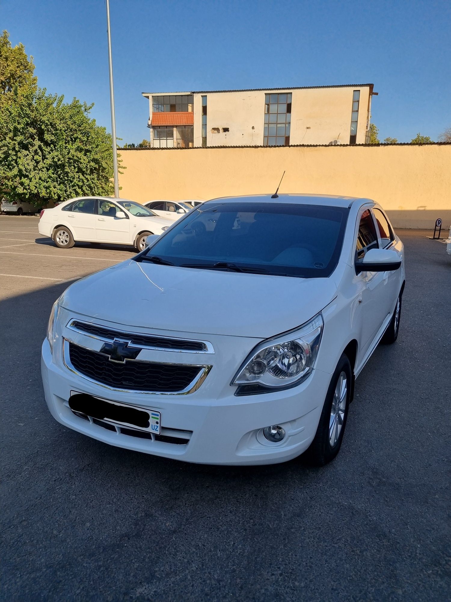 Cobalt 2022 GAZ.