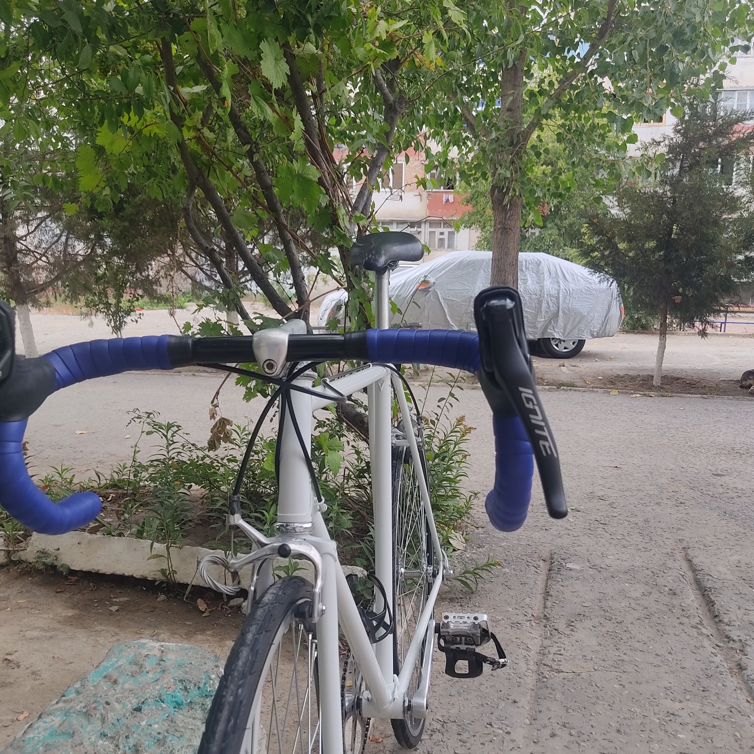 Велосипед, single speed