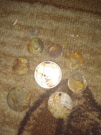 Продавам лот стари монети и една монета 10 ст.от 1962