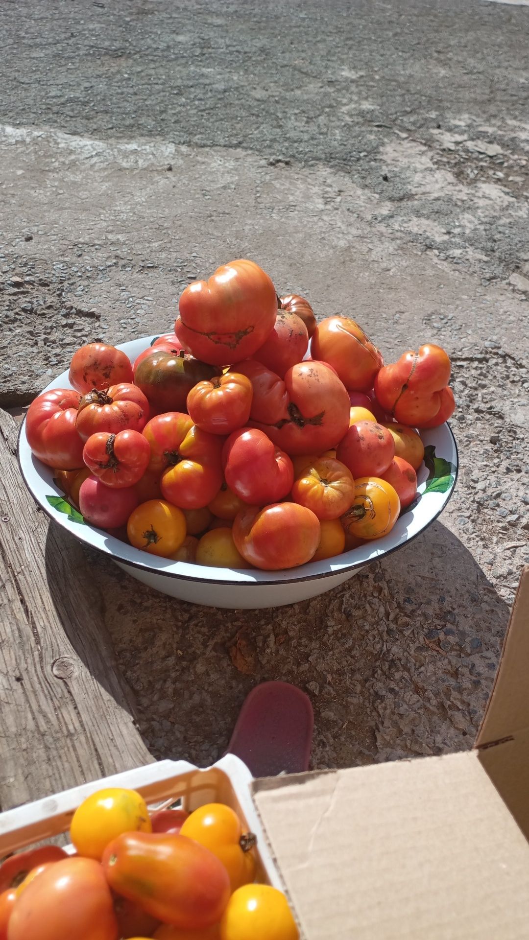 Продам помидоры,разных сортов