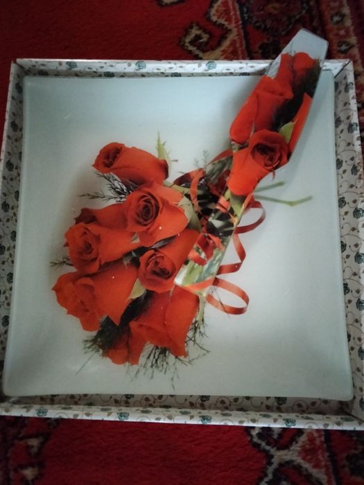 Тортница  с лопаткой