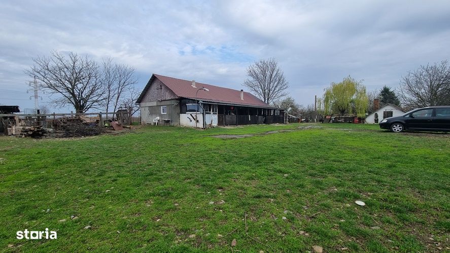 Teren 3980mp cu casa si anexe-Pecica