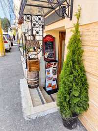 Vand afacere la cheie Restaurant traditional Bucovinean  ( Constanta)