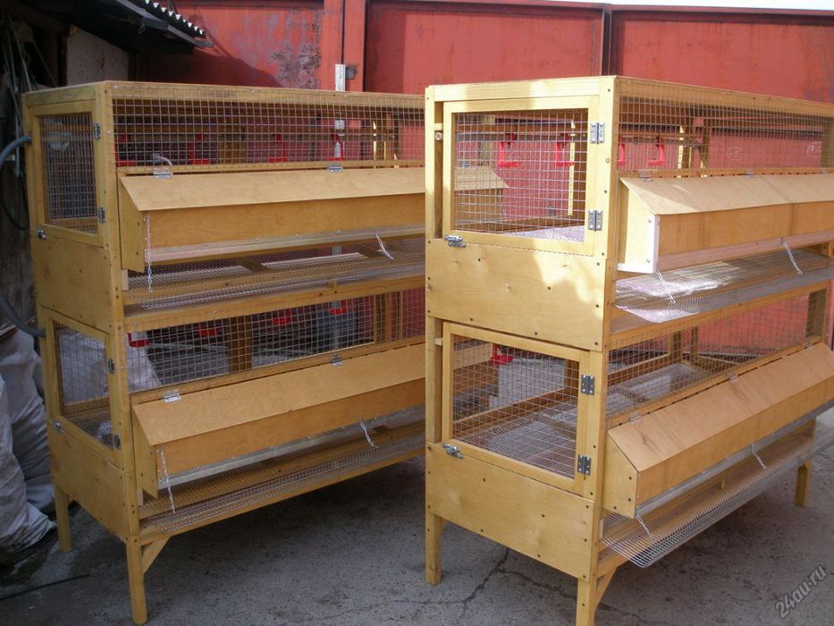 Bruder na zakaz lyuboy razmer