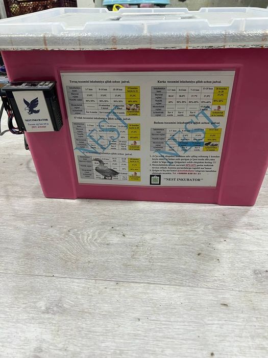 Inkubator sotikadi