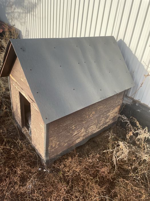 Домик для собак в среднем состоянии.