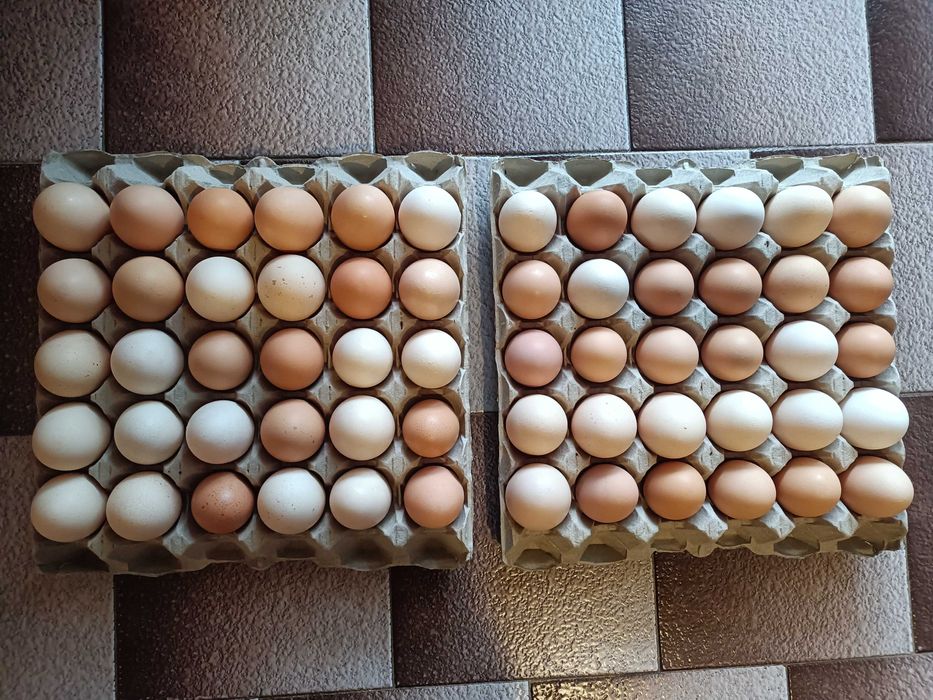 Продавам домашни яйца
