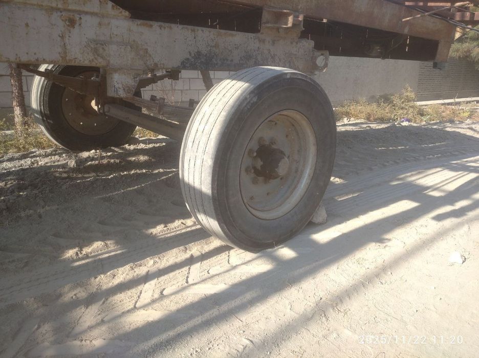 Асалари павилион