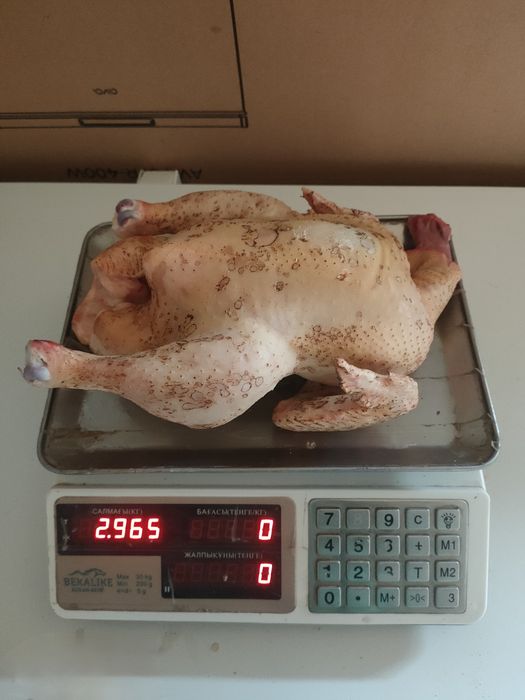 Продаётся мясо(тушка)домашнего трёхмесячного бройлерного цыплёнка.