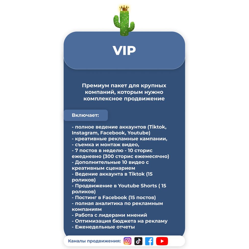 Комплексное продвижение в социальных сетях