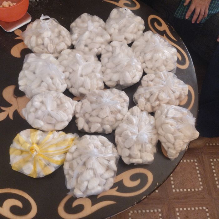 Қымыз құрт сатылады