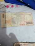 Bancnote  5000 lei