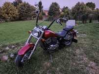 Kawasaki VN 800 din 2004