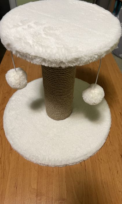 Котешка драскалка