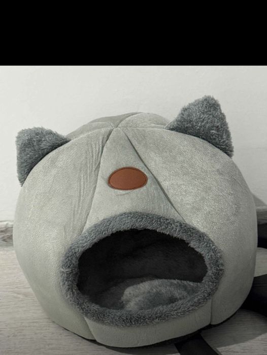 Мушук уйчаси йап йанги мушугимга кичкиналик килйапти шунга сотийапман