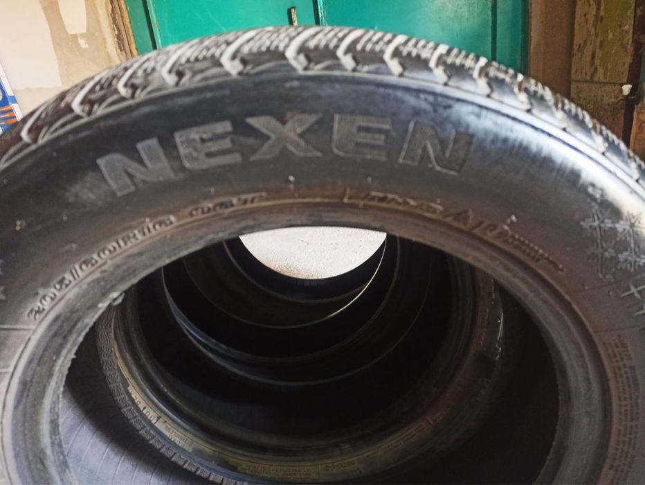 Зимные шины Nexen