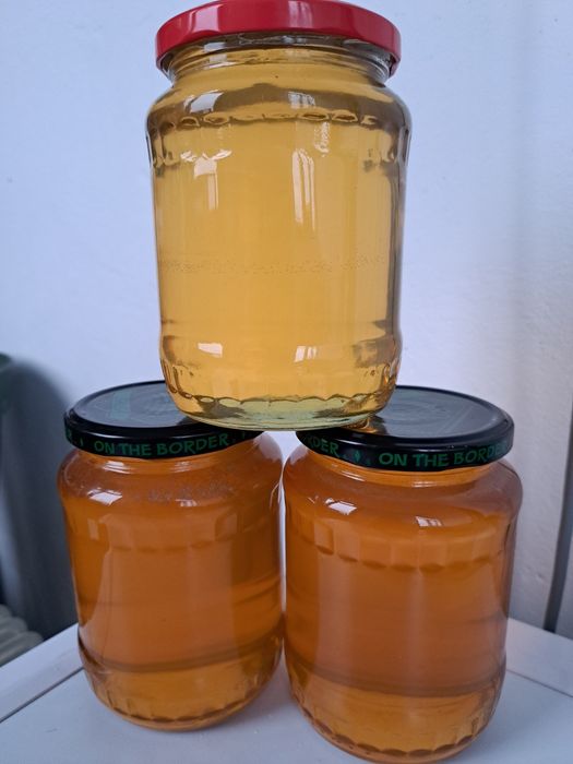 Miere rapita si salcam 2025 angro