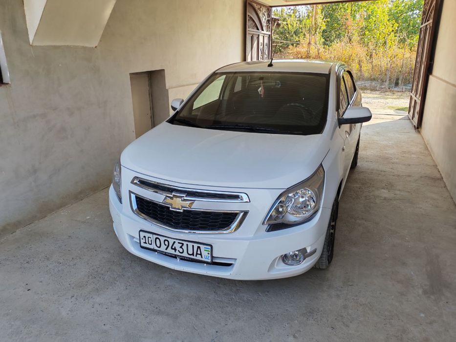 Cobalt 2018 2 pazitsa