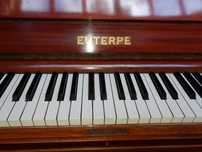 Pianina acustica Euterpe by BECHSTEIN