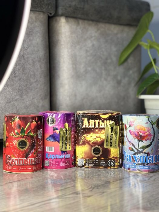 Жаңа жылға салюттер