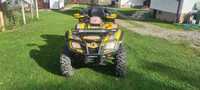 Vand can-am g1 2012 800R