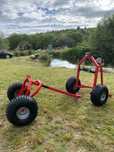 Transportor busteni