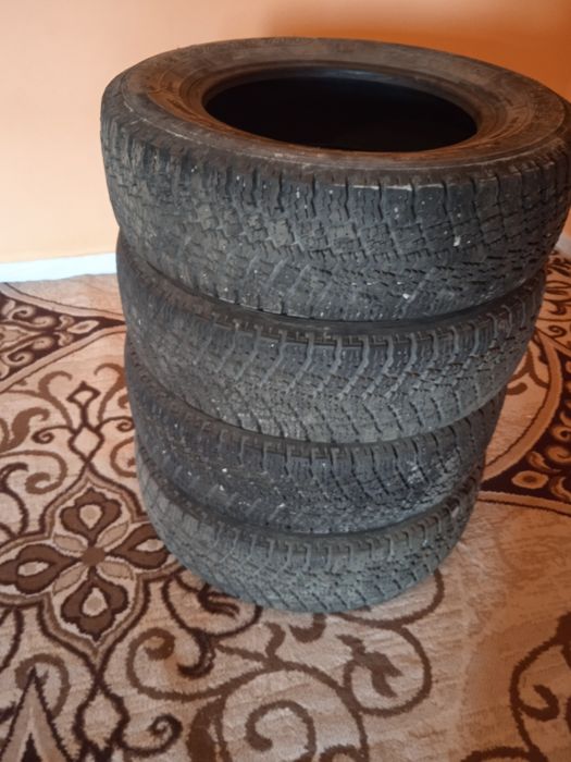 Зимный балон сатылады Сарыагаш та