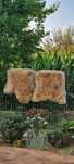 Vand 2 blani de oaie 70×140 cm bicolore