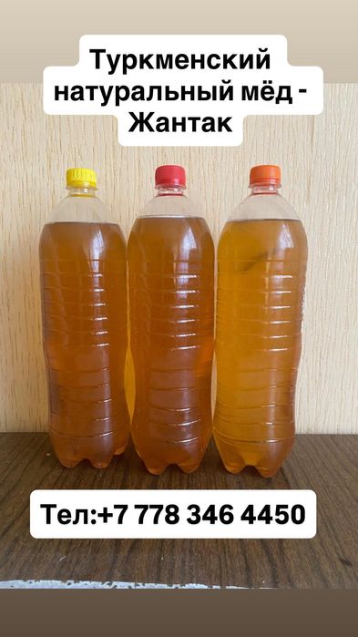 Туркменский натуральный мёд - Жантак